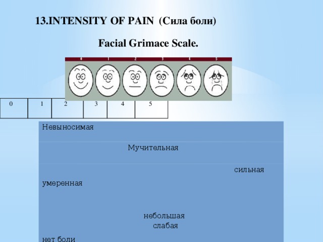 13.INTENSITY OF PAIN  (Cила боли)  Facial Grimace Scale.     0  1  2  3  4  5 Невыносимая  Мучительная   сильная  умеренная  небольшая нет боли  слабая