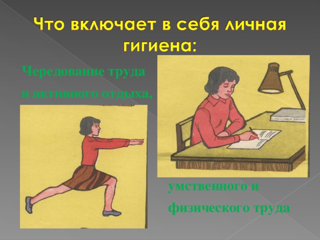 Чередование труда и активного отдыха, умственного и физического труда