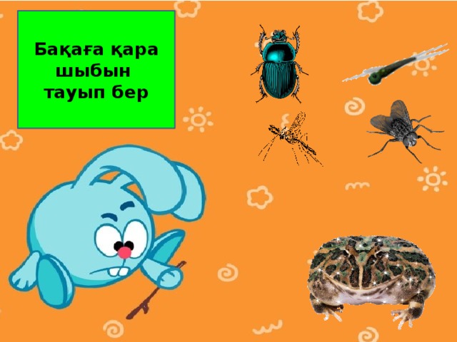 Бақаға қара шыбын тауып бер