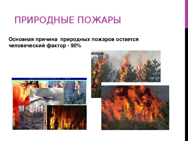 природные пожары Основная причина природных пожаров остается человеческий фактор - 90%