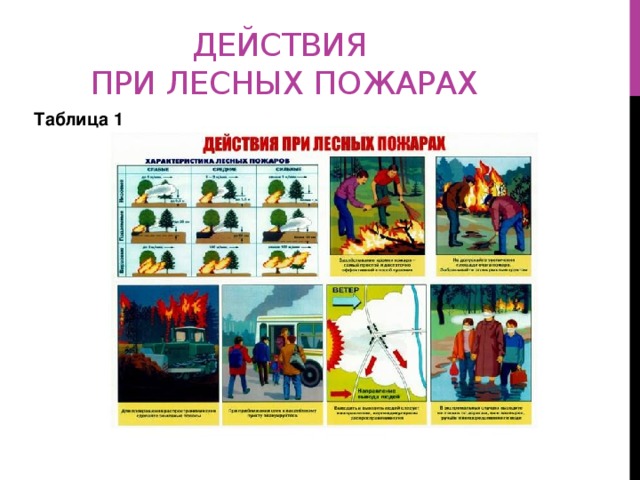 Действия  при лесных пожарах Таблица 1