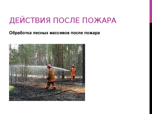Действия после пожара Обработка лесных массивов после пожара