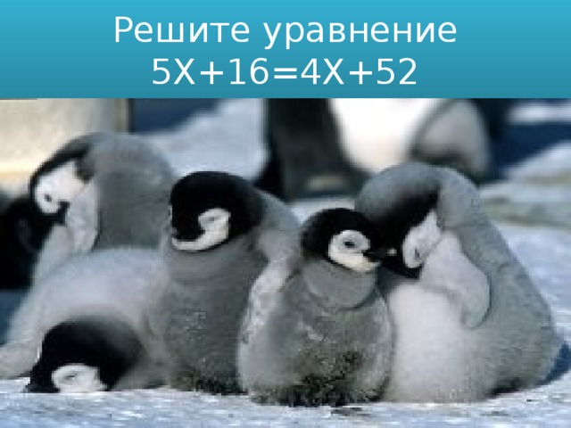 Решите уравнение  5Х+16=4Х+52