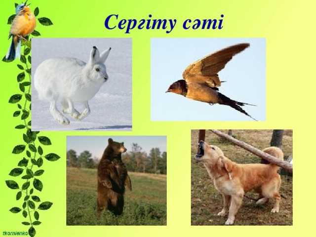 Сергіту сәті