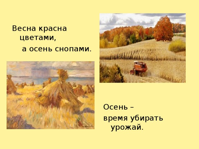 Весна красна цветами,  а осень снопами. Осень – время убирать урожай.