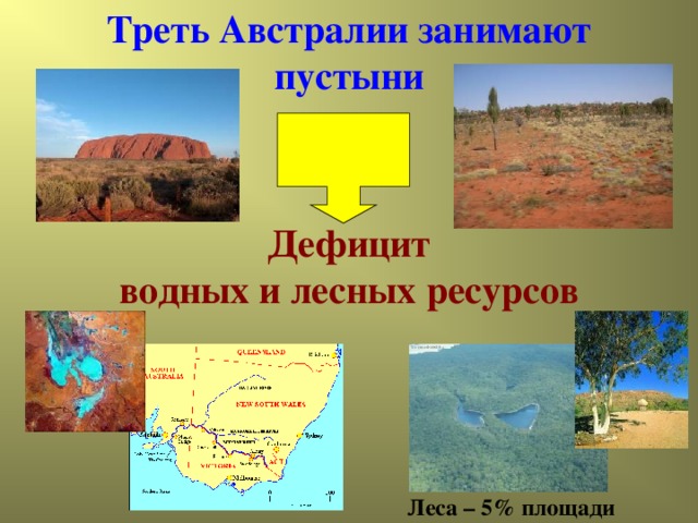 Треть Австралии занимают пустыни Дефицит  водных и лесных ресурсов Леса – 5% площади