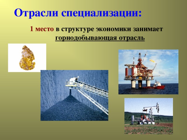 Отрасли специализации:  1 место в структуре экономики занимает горнодобывающая отрасль