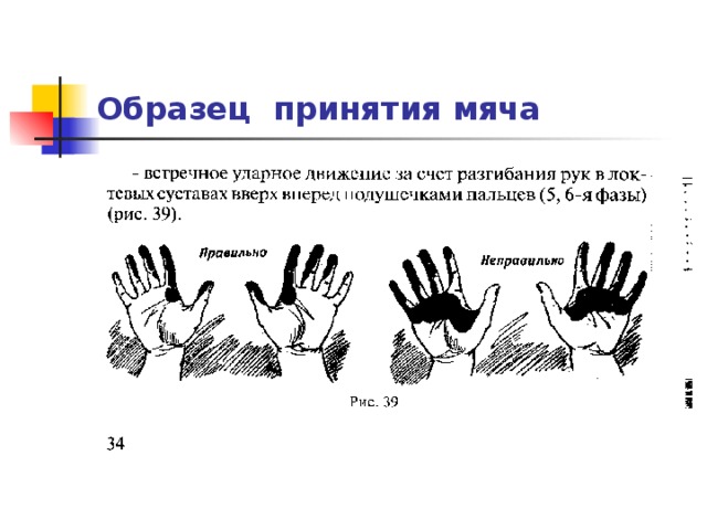 Образец принятия мяча