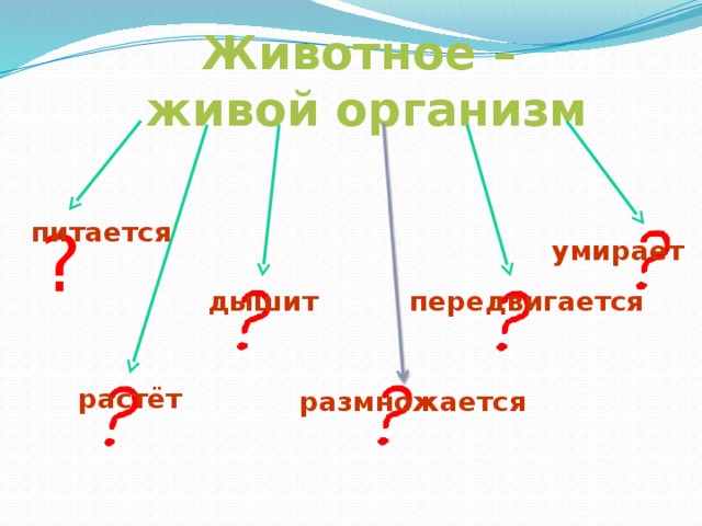 Животное живое существо схема 2 класс передвигается дышит