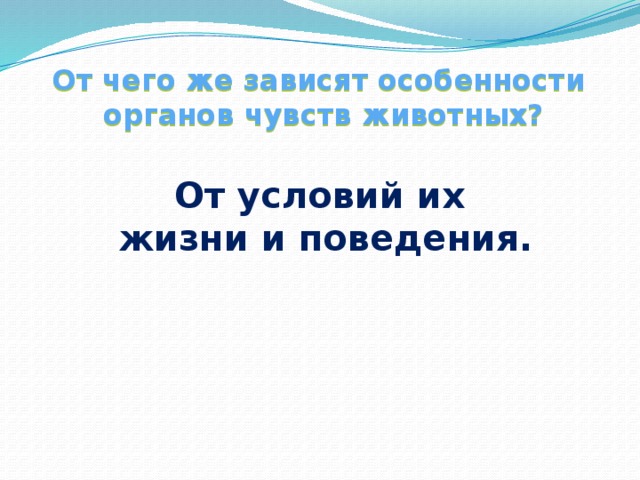 От чего же зависят особенности органов чувств животных? От условий их жизни и поведения.