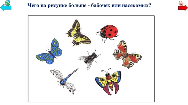 Чего на рисунке больше - бабочек или насекомых?