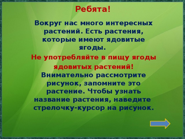 Ребята! Вокруг нас много интересных растений. Есть растения, которые имеют ядовитые ягоды. Не употребляйте в пищу ягоды ядовитых растений! Внимательно рассмотрите рисунок, запомните это растение. Чтобы узнать название растения, наведите стрелочку-курсор на рисунок.