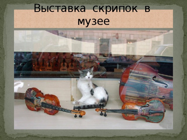 Выставка скрипок в музее