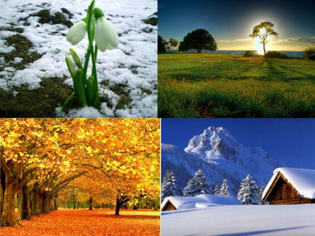 22 декабря сезонные изменения. Сезонные изменения в жизни растений и животных. Сезонные изменения на дороге. Сезонные изменения в природе фото. Природа и ее сезонные изменения презентация 1 класс ПНШ.