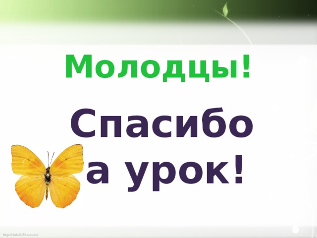 Молодцы! Спасибо за урок!