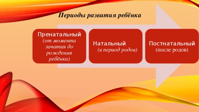 Периоды развития ребёнка Пренатальный (от момента зачатия до рождения ребёнка) Натальный (в период родов) Постнатальный (после родов)