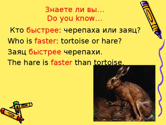 Знаете ли вы…  Do you know…  Кто быстрее : черепаха или заяц? Who is faster : tortoise or hare? Заяц быстрее черепахи. The hare is faster than tortoise.
