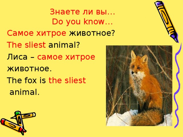 Знаете ли вы…  Do you know… Самое хитрое животное? The sliest animal? Лиса – самое хитрое  животное. The fox is the sliest  animal.