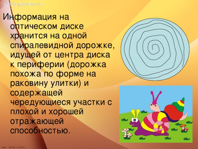 Информация на оптическом диске хранится на одной спиралевидной дорожке, идущей от центра диска к периферии (дорожка похожа по форме на раковину улитки) и содержащей чередующиеся участки с плохой и хорошей отражающей способностью.