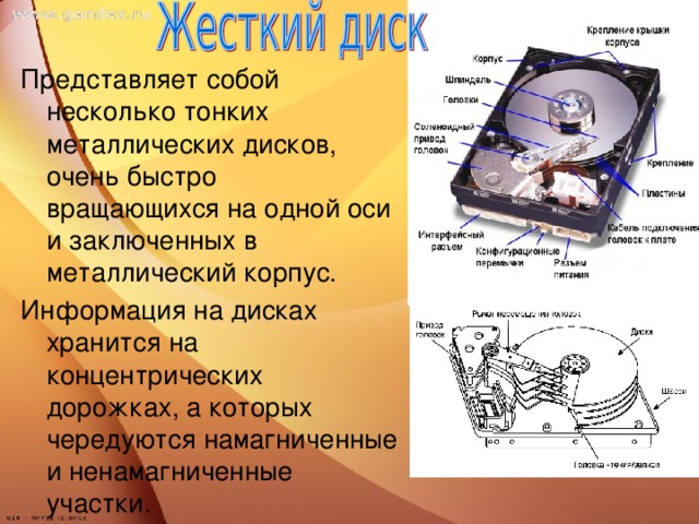 Представляет собой несколько тонких металлических дисков, очень быстро вращающихся на одной оси и заключенных в металлический корпус. Информация на дисках хранится на концентрических дорожках, а которых чередуются намагниченные и ненамагниченные участки.