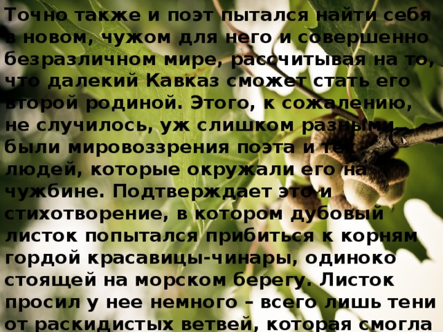 Точно также и поэт пытался найти себя в новом, чужом для него и совершенно безразличном мире, рассчитывая на то, что далекий Кавказ сможет стать его второй родиной. Этого, к сожалению, не случилось, уж слишком разными были мировоззрения поэта и тех людей, которые окружали его на чужбине. Подтверждает это и стихотворение, в котором дубовый листок попытался прибиться к корням гордой красавицы-чинары, одиноко стоящей на морском берегу. Листок просил у нее немного – всего лишь тени от раскидистых ветвей, которая смогла бы защитить его от палящего южного солнца. Взамен странник обещал рассказать чинаре много удивительных историй о своих путешествиях.