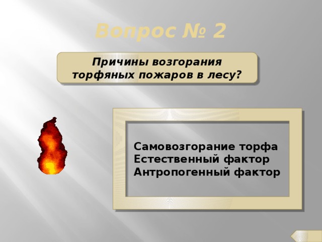 Вопрос № 2 Причины возгорания торфяных пожаров в лесу? Самовозгорание торфа Естественный фактор  Антропогенный фактор