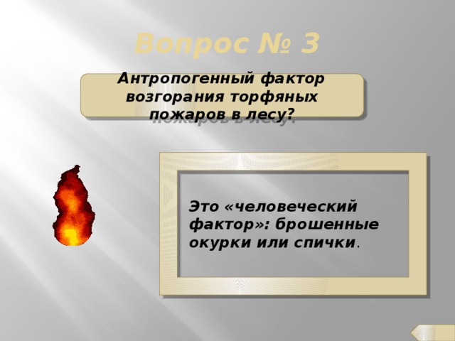 Вопрос № 3 Антропогенный фактор возгорания торфяных пожаров в лесу? Это «человеческий фактор»: брошенные окурки или спички .