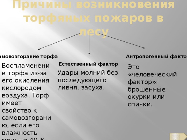 Причины возникновения торфяных пожаров в лесу Самовозгорание торфа  Антропогенный фактор Естественный фактор  Воспламенение торфа из-за его окисления кислородом воздуха. Торф имеет свойство к самовозгоранию, если его влажность меньше 40 %. Это «человеческий фактор»: брошенные окурки или спички. Удары молний без последующего ливня, засуха.