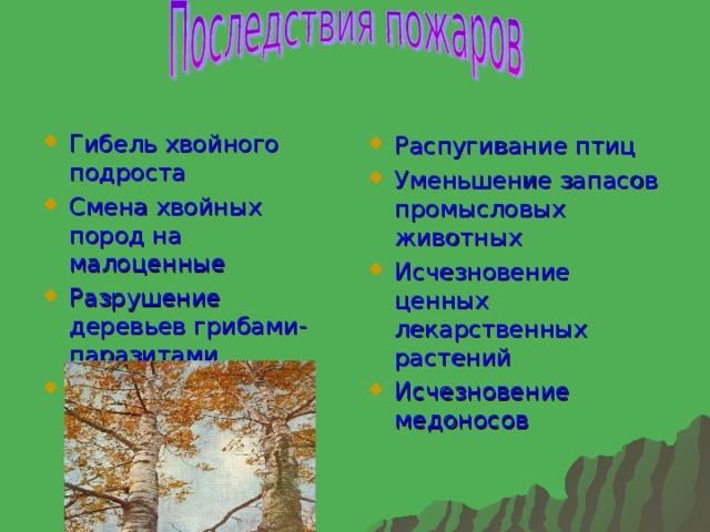 Гибель хвойного подроста Смена хвойных пород на малоценные Разрушение деревьев грибами-паразитами Размыв берегов Распугивание птиц Уменьшение запасов промысловых животных Исчезновение ценных лекарственных растений Исчезновение медоносов