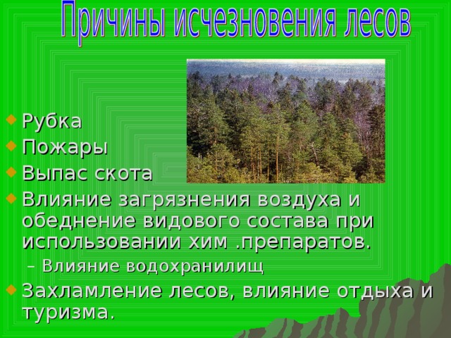 Лес другими словами. Воздействие на леса и другие растительные сообщества.. Ярус леса вырубки и пожарища. Как лес влияет на состав воздуха. Как вырубка лесов влияет на загрязнение атмосферы.