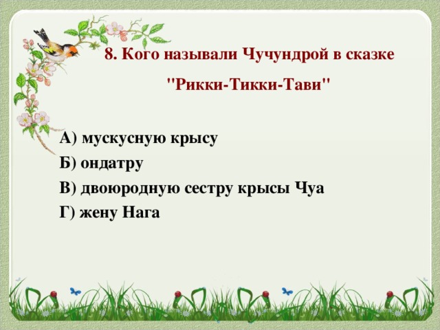 Соседку по дому рикки тикки тави. План сказки Рики Тики Тави. Проект Рикки Тикки Тави. Вопросы по сказке Рикки Тикки Тави с ответами.