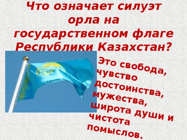 Это свобода, чувство достоинства, мужества, широта души и чистота помыслов. Что означает силуэт орла на государственном флаге Республики Казахстан?