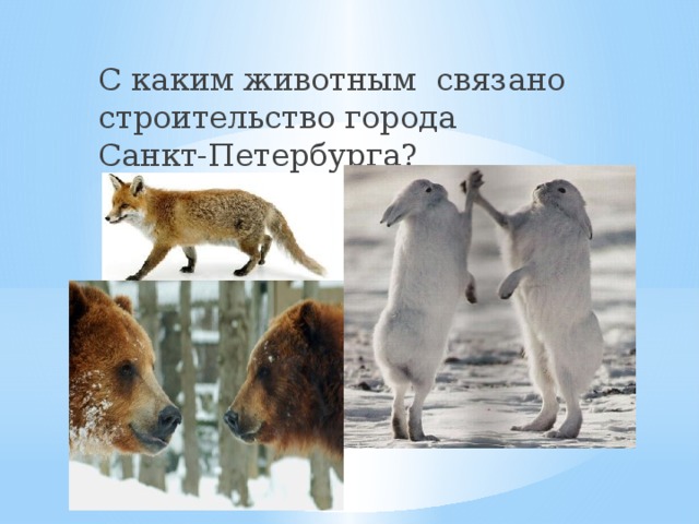С каким животным связано строительство города Санкт-Петербурга?