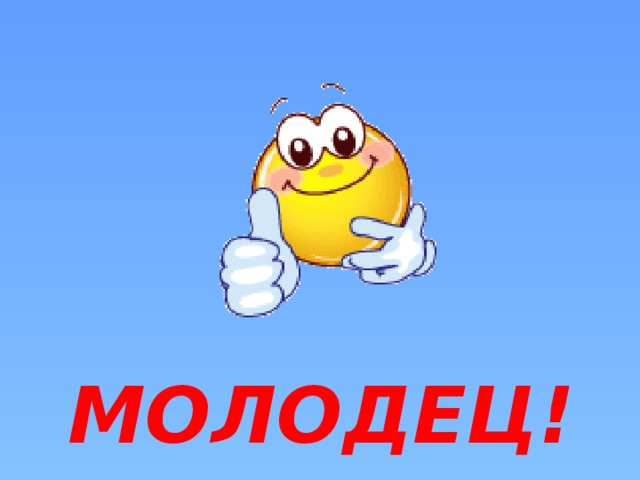 МОЛОДЕЦ!