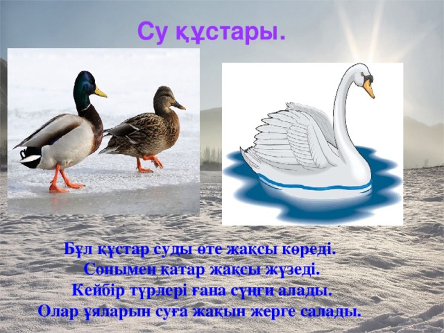 Су құстары. Бұл құстар суды өте жақсы көреді.   Сонымен қатар жақсы жүзеді. Кейбір түрлері ғана сүңги алады. Олар ұяларын суға жақын жерге салады.  