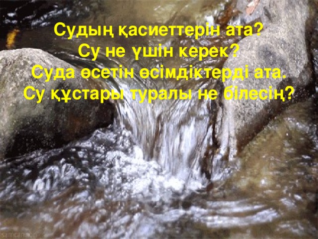 Судың қасиеттерін ата? Су не үшін керек? Суда өсетін өсімдіктерді ата. Су құстары туралы не білесің?