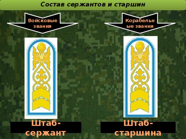 Состав сержантов и старшин  Войсковые звания Корабельные звания Штаб-сержант Штаб-старшина