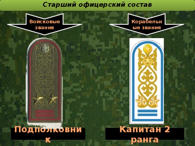 Старший офицерский состав  Войсковые звания Корабельные звания Подполковник Капитан 2 ранга