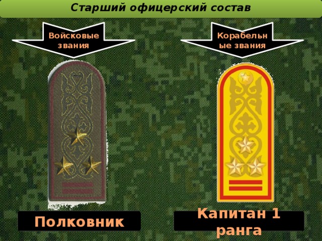 Старший офицерский состав  Войсковые звания Корабельные звания Полковник Капитан 1 ранга