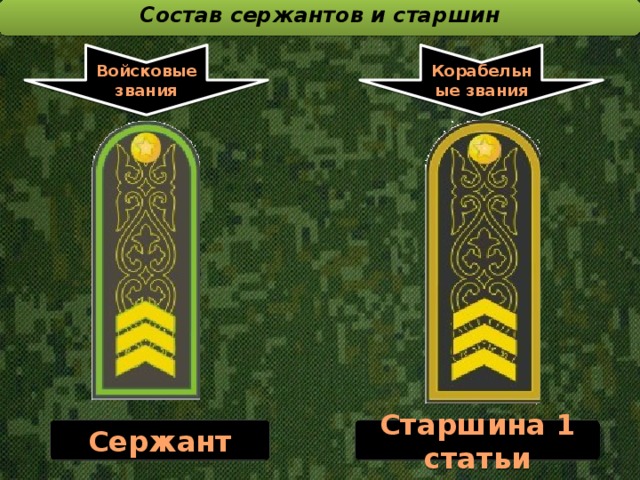 Сержант погоны казахстана