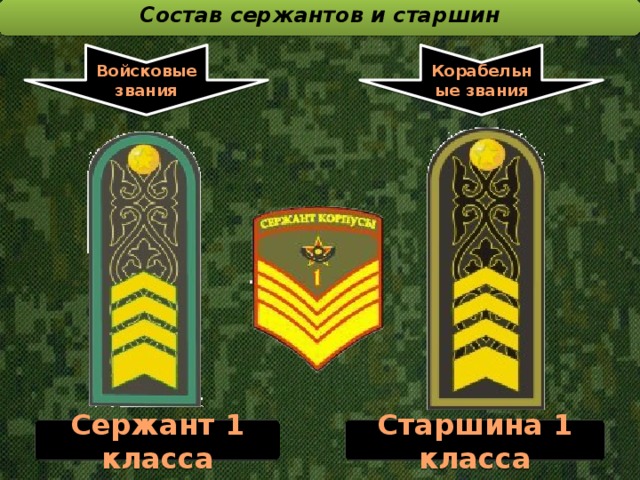 Состав сержантов и старшин  Войсковые звания Корабельные звания Сержант 1 класса Старшина 1 класса