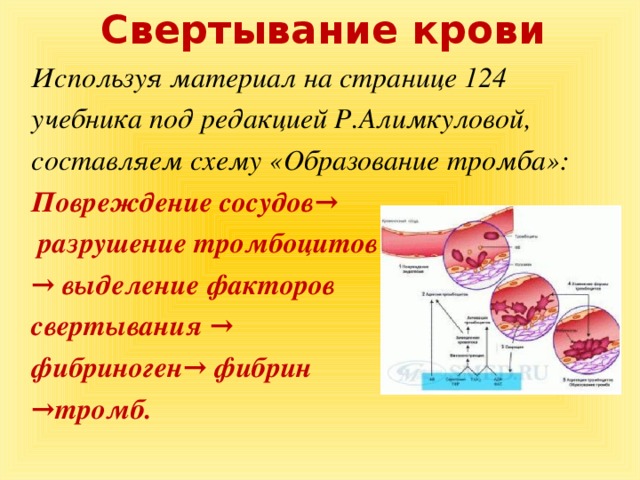 Активация тромбоцитов схема