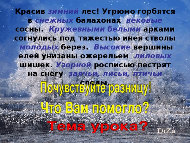 Красив зимний лес! Угрюмо горбятся в снежных балахонах вековые сосны. Кружевными белыми арками согнулись под тяжестью инея стволы молодых берез. Высокие вершины елей унизаны ожерельем лиловых шишек. Узорной росписью пестрят на снегу заячьи, лисьи, птичьи следы.