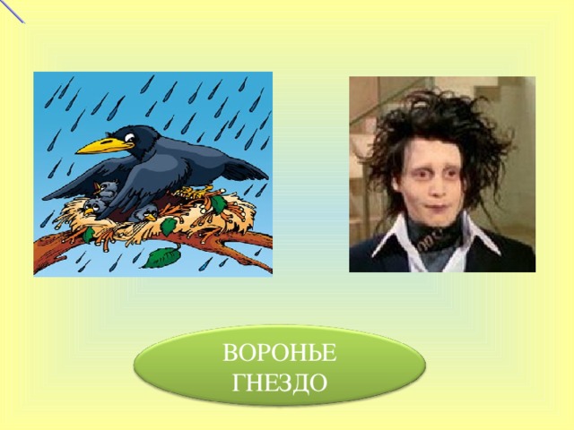 ВОРОНЬЕ ГНЕЗДО