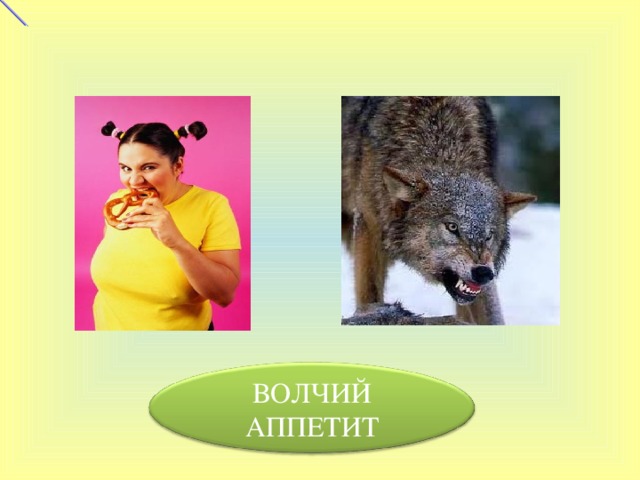 ВОЛЧИЙ АППЕТИТ