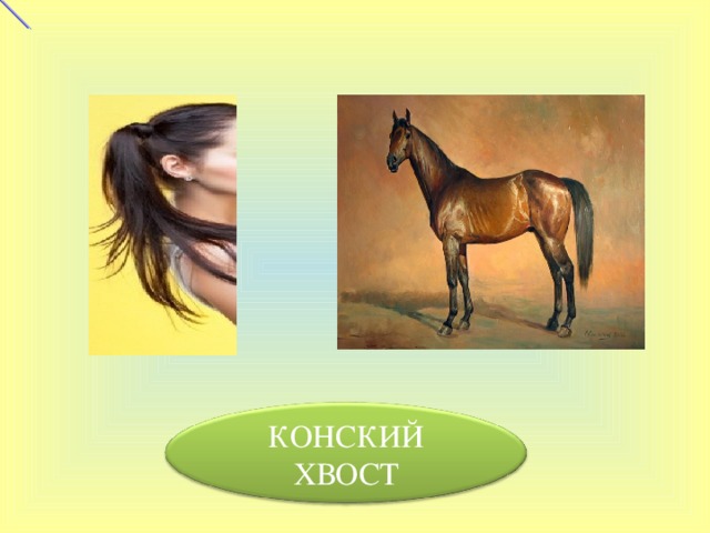 КОНСКИЙ ХВОСТ