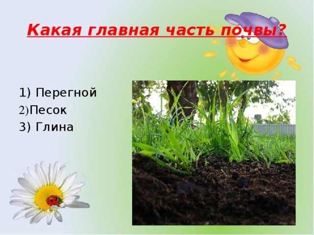 Какая главная часть почвы? 1) Перегной 2) Песок 3) Глина