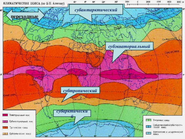 субантарктический переходные субэкваториальный субтропический субарктический