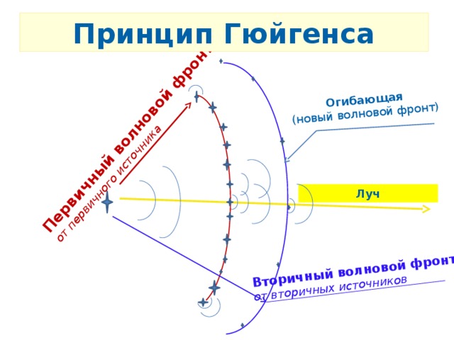 Первичный волновой фронт от первичного источника Вторичный волновой фронт от вторичных источников Огибающая (новый волновой фронт) Принцип Гюйгенса Луч