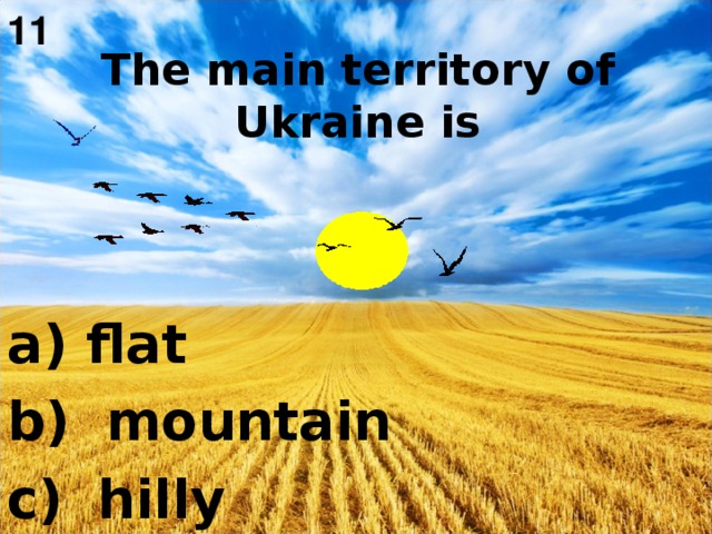 11  The main territory of Ukraine is    a) flat b)  mountain c)  hilly